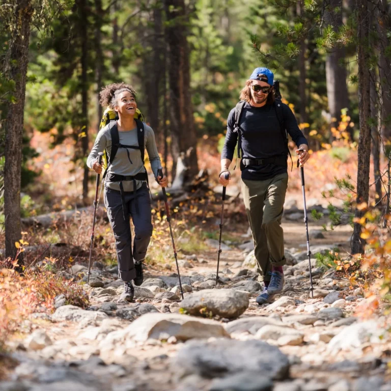 Black Diamond Distance Z Trekking Poles